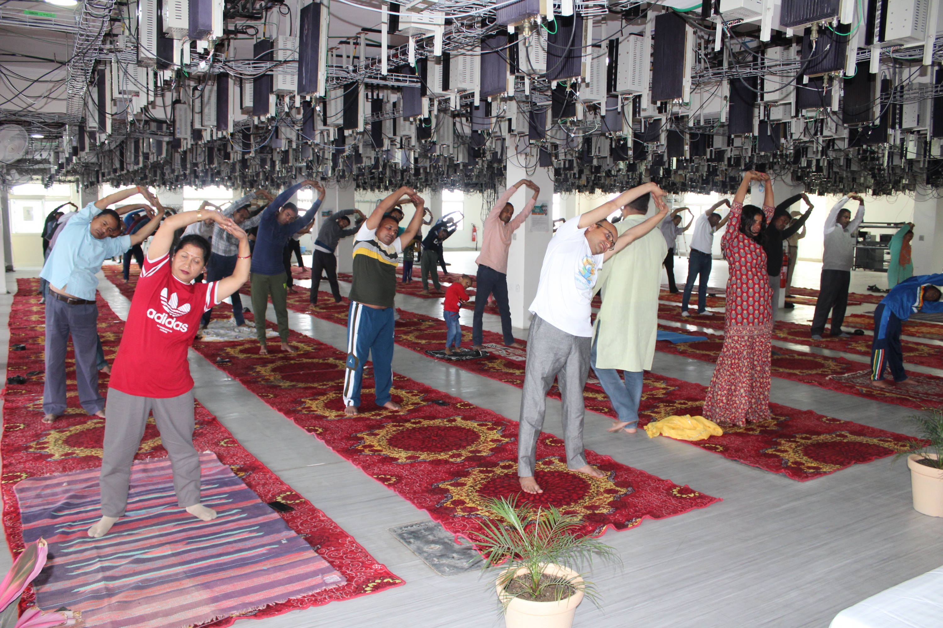 International Yoga Day