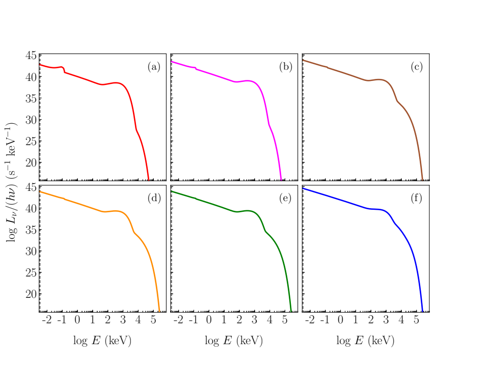 Spectra NS